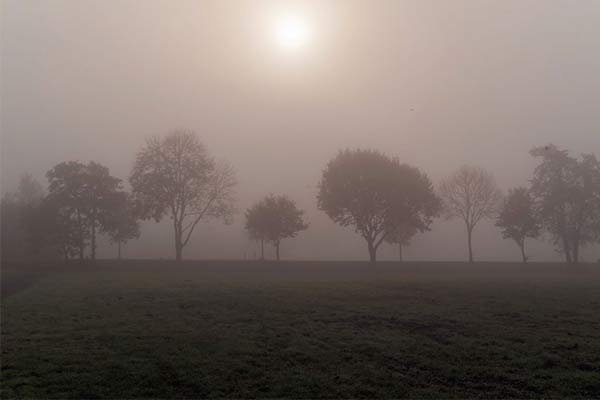 cold-weather