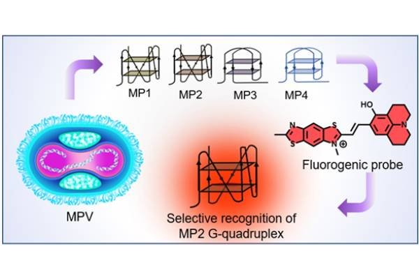 monkeypox-detection-new-study
