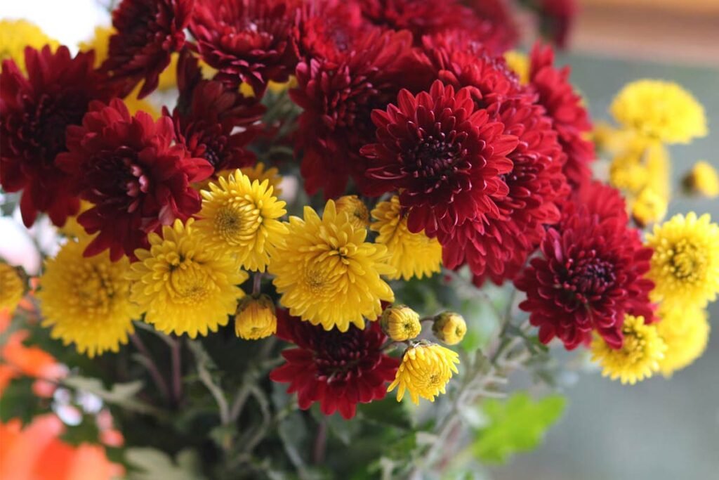 flowers