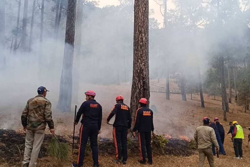 रुद्रप्रयाग में जिलाधिकारी के निर्देशन में वन अग्नि सुरक्षा को लेकर मॉक अभ्यास आयोजित