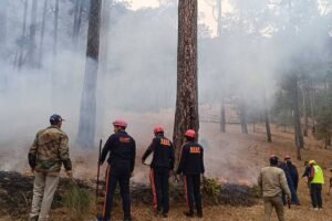 रुद्रप्रयाग में जिलाधिकारी के निर्देशन में वन अग्नि सुरक्षा को लेकर मॉक अभ्यास आयोजित