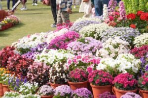 वसंतोत्सव 2026, 27 फरवरी से 1 मार्च तक लोक भवन, देहरादून में होगा