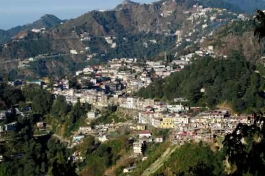 बिना अनुमति पेड़ न काटें: उत्तराखंड HC ने मसूरी नगर पालिका से कहा