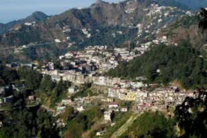 बिना अनुमति पेड़ न काटें: उत्तराखंड HC ने मसूरी नगर पालिका से कहा