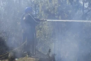 नई टिहरी में फायर स्टेशन की तत्परता से तीन स्थानों पर जंगल की आग पर पाया काबू